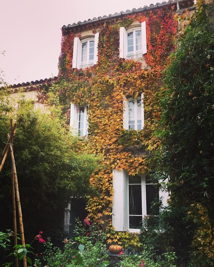 Le Logis Blanc Bed&Breakfast Coursan Exterior foto